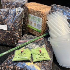 Omplanteringspaket för orkidéer