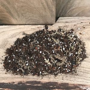 Jordblandning till Aroids med flera